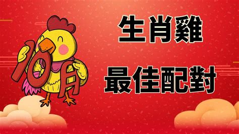 屬雞適合的生肖|生肖配對：屬雞的和什麼屬相最配